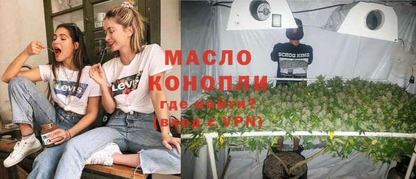 шишки Пестово