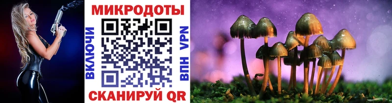 ссылка на мегу ССЫЛКА  Грязовец  Галлюциногенные грибы MAGIC MUSHROOMS 